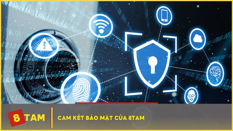 Cam kết trong chính sách bảo mật của 8TAM