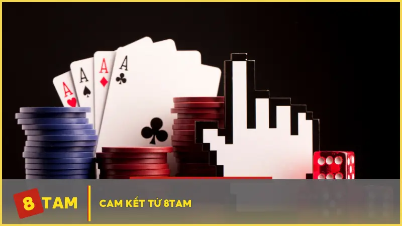 Cam kết từ 8TAM