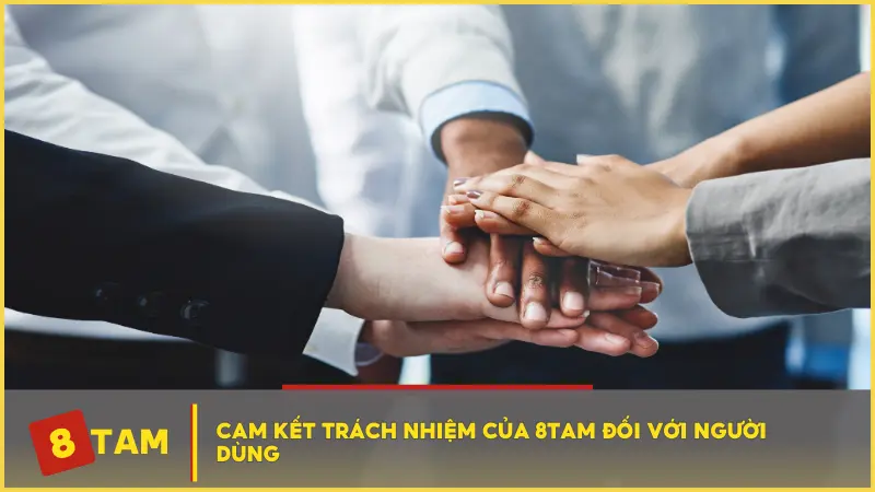 Cam kết trách nhiệm của 8TAM đối với người dùng