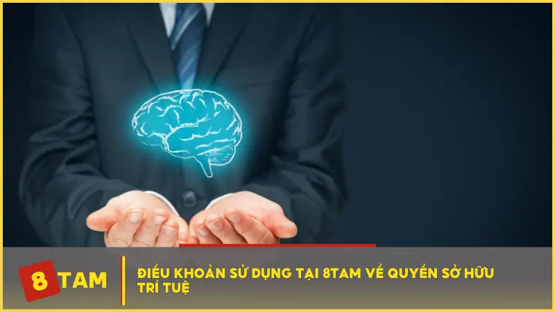 Điều khoản sử dụng tại 8TAM về quyền sở hữu trí tuệ