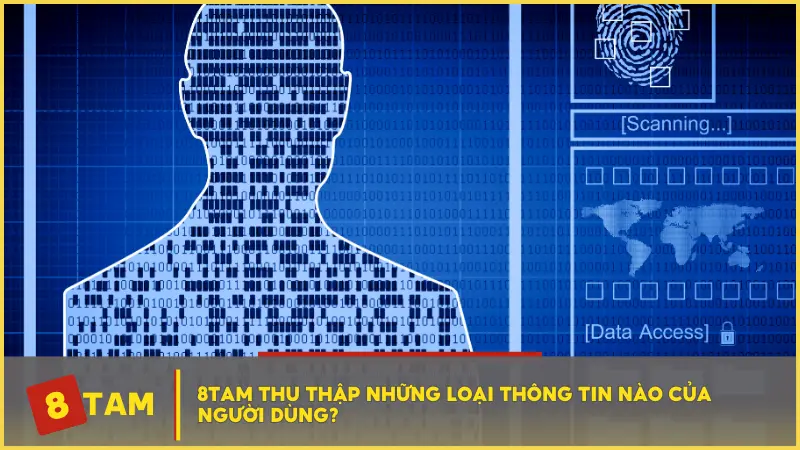 Chính sách bảo mật 8TAM thu thập những loại thông tin nào của người dùng?