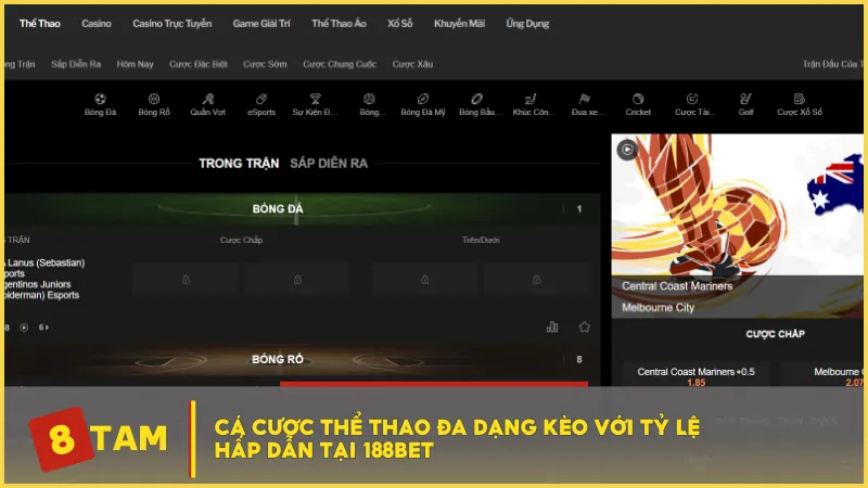 Cá cược thể thao đa dạng kèo với tỷ lệ hấp dẫn tại 188BET