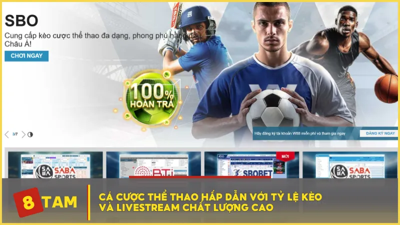 Cá cược thể thao hấp dẫn với tỷ lệ kèo và livestream chất lượng cao