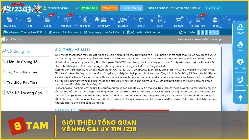 Giới thiệu tổng quan về nhà cái uy tín 123B