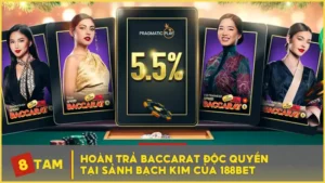 Hoàn Trả Baccarat Độc Quyền Tại Sảnh Bạch Kim