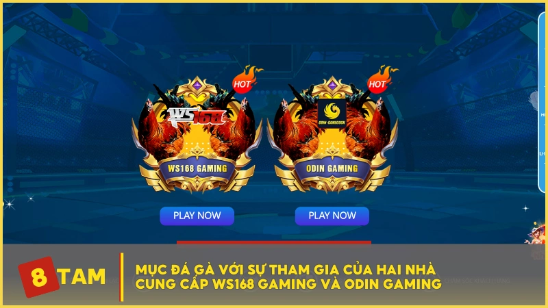 Mục đá gà với sự tham gia của hai nhà cung cấp WS168 Gaming và Odin Gaming